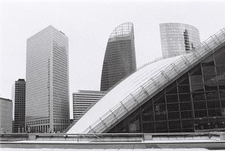 PRIMATES Arquitectura e interiorismo Blanco y Negro (Digital)