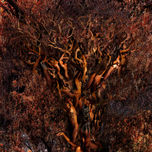ARBOL DE LA VIDA thumbnail 1