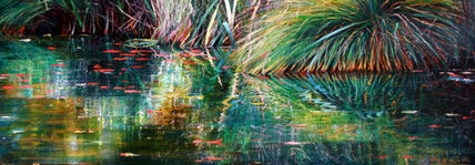 Reflejos