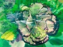 clavel3D,2