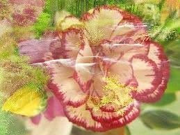 clavel 3D