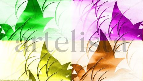 Despertando en colores