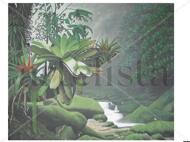 NACIMIENTO INTERIOR