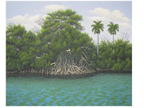 Manglar