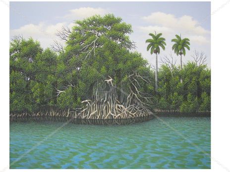 Manglar