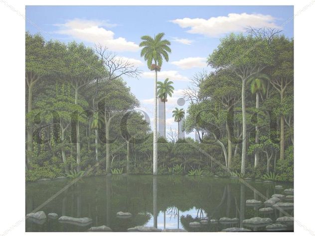 REFLEJOS Y PIEDRAS EN LA LAGUNA