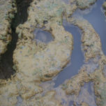 natural thumbnail 1