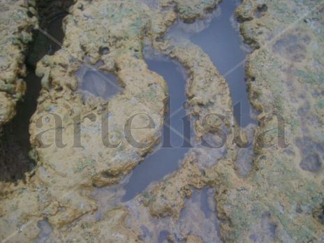 Piedras mojadas y...