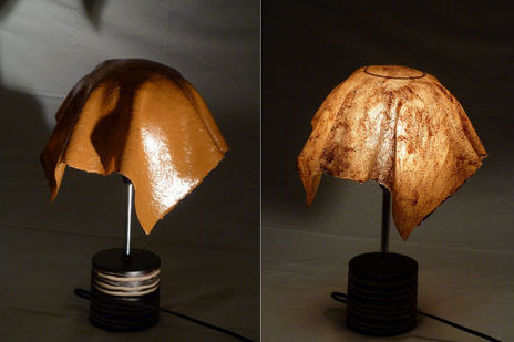 Trapo luminoso 2