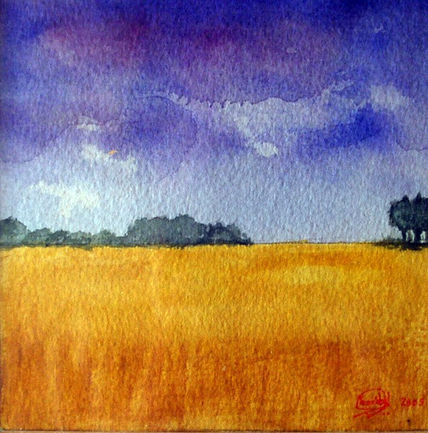Campo