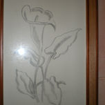 dibujo-retrato thumbnail 2