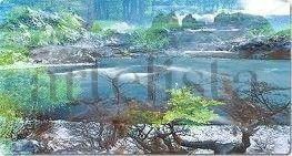 Lago 1