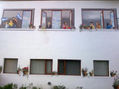 Mural del Palacio Municipal de San Martin de los Andes