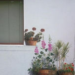 Murales thumbnail 2