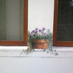 Murales thumbnail 1