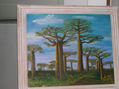 bosque australiano