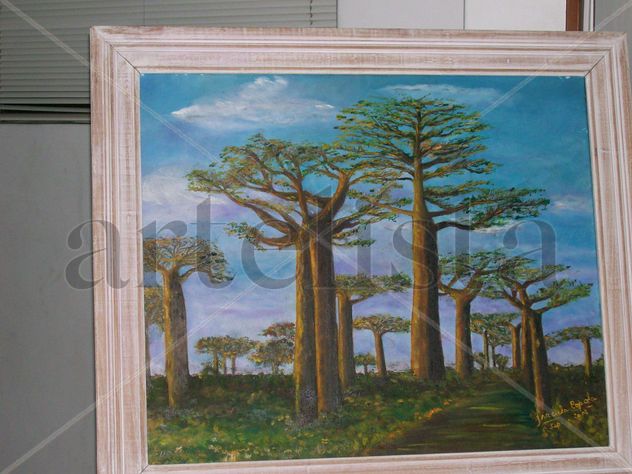 bosque australiano