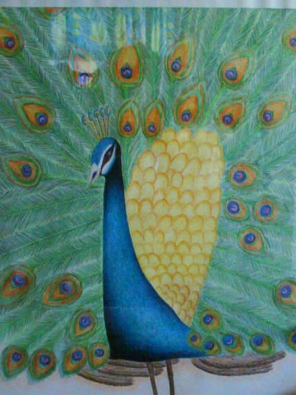Pavo Real