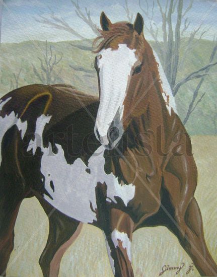 horse Oil Canvas Animals