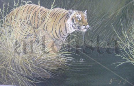Tigre