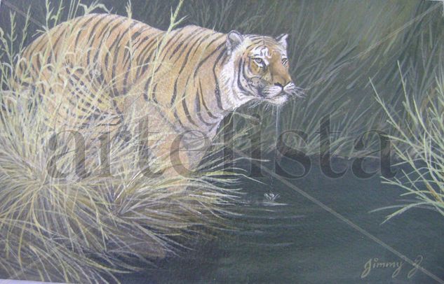 tigre Acrylic Paper Animals