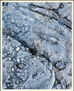 FOTOABSTRAC4