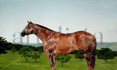 animales