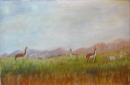 Llamas al atardecer