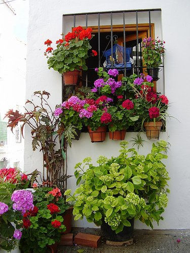 UNA VENTANA CON ARTE.......