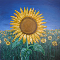 Girasol