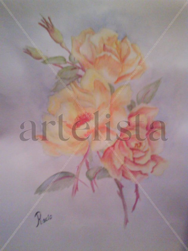 Rosas Amarilla