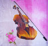 Violin y rosa