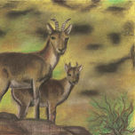pinturas thumbnail 1