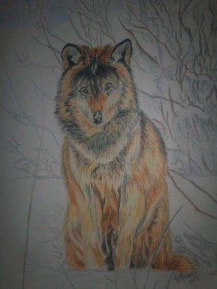El Lobo