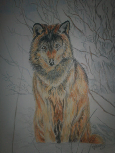 El Lobo