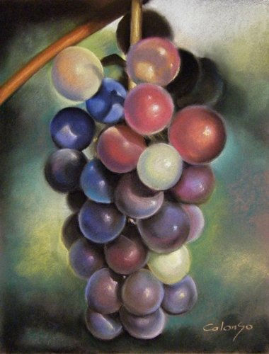 Uvas Pastel Paper Still Life Paintings