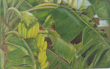 Platanar