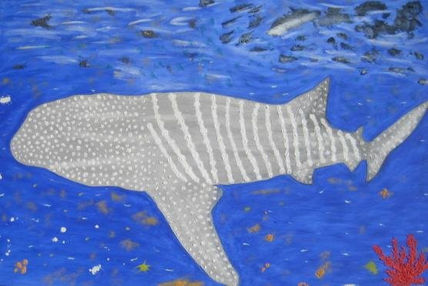 Tiburón Ballena -...