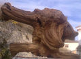 MULTI FACE OF NATURE !!! 522/2011