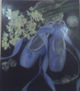 Zapatillas