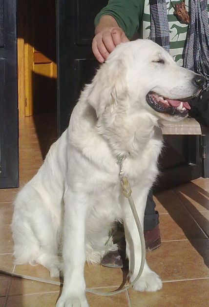 Mi amigo truc !!!!...