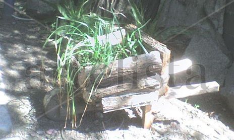 MADERA