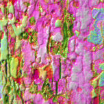 transforme thumbnail 2