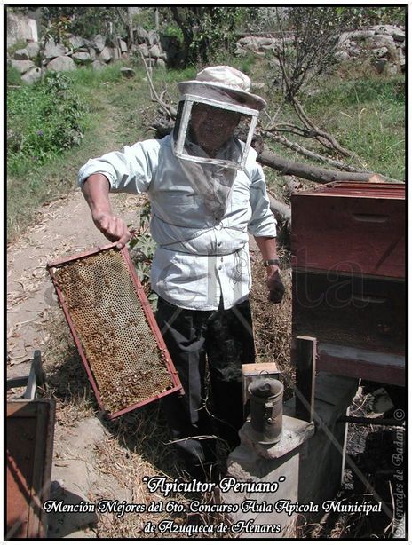 Apicultor peruano