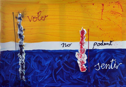 Voler