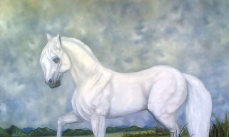 serie caballos