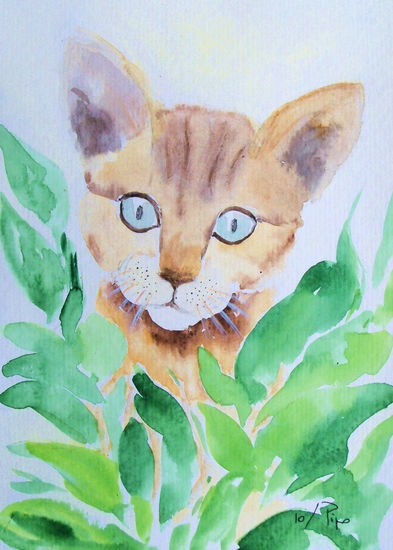 gatito guiñando Acuarela Papel Animales