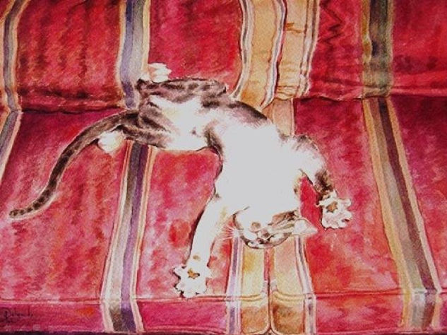 Gato jugando Oil Canvas Animals