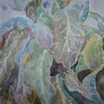 FLORES thumbnail 1