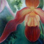 Orquidias thumbnail 1